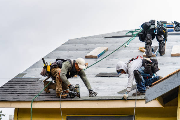 Professional Storm Damage Roof Repair technician working in Arlington, IA